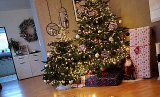 Die Bielefelder haben Weihnachtsbäume in verschiedenen Varianten im Wohnzimmer stehen. - Marina Birkel Die Bielefelder haben Weihnachtsbäume in verschiedenen Varianten im Wohnzimmer stehen. - Marina Birkel