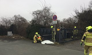 Der ausgewachsene Rehbock hatte versucht, sich durch ein Gattertor zu zwängen und war mit der Hüfte hängengeblieben. - Feuerwehr Paderborn Der ausgewachsene Rehbock hatte versucht, sich durch ein Gattertor zu zwängen und war mit der Hüfte hängengeblieben. - Feuerwehr Paderborn