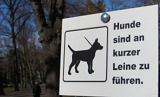 Würde man einen Hund an der kurzen Leine halten, würde er abhauen, sobald es ginge, sagt "MontanaBlack". - picture alliance/dpa-Zentralbild Würde man einen Hund an der kurzen Leine halten, würde er abhauen, sobald es ginge, sagt "MontanaBlack". - picture alliance/dpa-Zentralbild