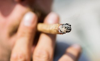 Die geplante Cannabis-Legalisierung wirft Fragen zur Verkehrssicherheit auf. - Christoph Soeder/dpa Die geplante Cannabis-Legalisierung wirft Fragen zur Verkehrssicherheit auf. - Christoph Soeder/dpa