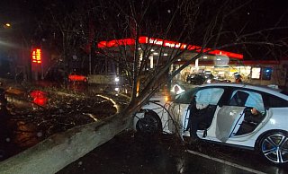 In Minden stürzte ein Baum über die Fahrbahn der Stiftsallee in Höhe einer Tankstelle. Zwei Pkw konnten nicht mehr rechtzeitig bremsen. - Polizei Minden-Lübbecke In Minden stürzte ein Baum über die Fahrbahn der Stiftsallee in Höhe einer Tankstelle. Zwei Pkw konnten nicht mehr rechtzeitig bremsen. - Polizei Minden-Lübbecke