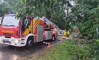 Bäume blockierten die Straße und mussten von der Feuerwehr zersägt werden. - Feuerwehr Bad Oeynhausen Bäume blockierten die Straße und mussten von der Feuerwehr zersägt werden. - Feuerwehr Bad Oeynhausen