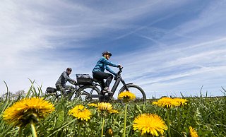Schönes Wetter bringt viele Menschen dazu, das Fahrrad aus dem Winterschlaf zu holen. - Thomas Warnack/dpa Schönes Wetter bringt viele Menschen dazu, das Fahrrad aus dem Winterschlaf zu holen. - Thomas Warnack/dpa