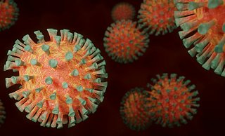 Einige Mutationen wirken sich auf die charakteristischen Ausstülpungen des Coronavirus aus und sorgen für eine höhere Übertragbarkeit. - Symbolbild: Pixaby Einige Mutationen wirken sich auf die charakteristischen Ausstülpungen des Coronavirus aus und sorgen für eine höhere Übertragbarkeit. - Symbolbild: Pixaby