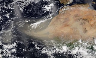 Trägt den Namen einer Horror-Echse: Der gigantische Staubsturm "Godzilla" macht sich von der Sahara aus auf den Weg über den Atlantik. - picture alliance / ZUMAPRESS.com Trägt den Namen einer Horror-Echse: Der gigantische Staubsturm "Godzilla" macht sich von der Sahara aus auf den Weg über den Atlantik. - picture alliance / ZUMAPRESS.com