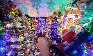 Hunderte Weihnachtsbäume finden in einem Haus in Niedersachsen Platz (Archivbild). - Julian Stratenschulte/dpa Hunderte Weihnachtsbäume finden in einem Haus in Niedersachsen Platz (Archivbild). - Julian Stratenschulte/dpa