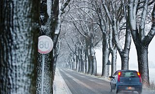 Der Deutsche Wetterdienst warnt Autofahrer in OWL ab Samstagabend vor glatten Straßen durch Frost und Schneefall. - picture alliance Der Deutsche Wetterdienst warnt Autofahrer in OWL ab Samstagabend vor glatten Straßen durch Frost und Schneefall. - picture alliance