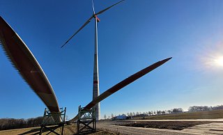 Mächtig: Die Flügel der modernen Anlagen sind oft mehr als 80 Meter lang. In der Pixeler Heide ist nun ein Windrad beantragt, dessen Gesamthöhe bei 285 Meter liegen soll. - Ludger Osterkamp Mächtig: Die Flügel der modernen Anlagen sind oft mehr als 80 Meter lang. In der Pixeler Heide ist nun ein Windrad beantragt, dessen Gesamthöhe bei 285 Meter liegen soll. - Ludger Osterkamp