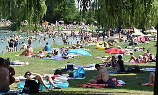 So lässt es sich aushalten: Am Nesthauser See baden die Paderborner im Wasser und in der Sonne. - Svenja Ludwig So lässt es sich aushalten: Am Nesthauser See baden die Paderborner im Wasser und in der Sonne. - Svenja Ludwig