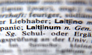 Nordrhein-Westfalens SPD und Grüne wollen die Latinums-Pflicht für Lehramtsstudenten auf den Prüfstand stellen. - picture alliance / dpa Nordrhein-Westfalens SPD und Grüne wollen die Latinums-Pflicht für Lehramtsstudenten auf den Prüfstand stellen. - picture alliance / dpa