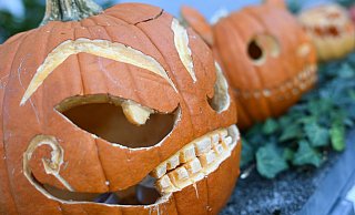 Wenn es nichts Süßes gibt, gibts Saures - der Halloween-Brauch artet manchmal in Vandalismus aus. Symbolfoto: Arne Dedert/dpa - Arne Dedert/dpa Wenn es nichts Süßes gibt, gibts Saures - der Halloween-Brauch artet manchmal in Vandalismus aus. Symbolfoto: Arne Dedert/dpa - Arne Dedert/dpa