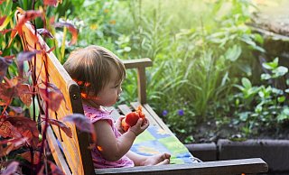 Zurück zur Natur: Die in Österreich gestartete Initiative "Natur im Garten" soll mit Blick auf die Landesgartenschau auch in Höxter umgesetzt werden. - Pixabay Zurück zur Natur: Die in Österreich gestartete Initiative "Natur im Garten" soll mit Blick auf die Landesgartenschau auch in Höxter umgesetzt werden. - Pixabay