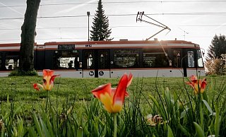 Ein Stück Bielefelder Historie verlässt die Stadt. - MoBiel Ein Stück Bielefelder Historie verlässt die Stadt. - MoBiel