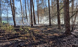 Wegen der Trockenheit werden die Wälder durch Kontrollflüge überwacht. In Espelkamp musste die Feuerwehr schon Waldbrände löschen. - Feuerwehr Espelkamp Wegen der Trockenheit werden die Wälder durch Kontrollflüge überwacht. In Espelkamp musste die Feuerwehr schon Waldbrände löschen. - Feuerwehr Espelkamp