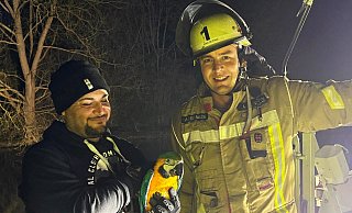 Wohlbehalten ist der Gelbbrust-Ara nach seiner Rettung durch die Feuerwehr wieder in guten Händen. - Feuerwehr Büren Wohlbehalten ist der Gelbbrust-Ara nach seiner Rettung durch die Feuerwehr wieder in guten Händen. - Feuerwehr Büren