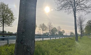 Die Unfallstelle ein Jahr später. Hier war der 50-Jährige nach einem Frontalzusammenstoß verstorben. - Stefanie Dullweber Die Unfallstelle ein Jahr später. Hier war der 50-Jährige nach einem Frontalzusammenstoß verstorben. - Stefanie Dullweber