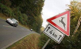 Vorsicht: Im Kreis Paderborn kommt es regelmäßig zu Zusammenstößen von Autos und Wildtieren. - David Schellenberg Vorsicht: Im Kreis Paderborn kommt es regelmäßig zu Zusammenstößen von Autos und Wildtieren. - David Schellenberg