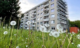 Kaum war das Gerüst an der Balkon-Front abgebaut, montierte die nächste Firma ein neues. - Stefan Becker Kaum war das Gerüst an der Balkon-Front abgebaut, montierte die nächste Firma ein neues. - Stefan Becker