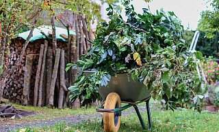 Gehölze dürfen den ganzen Winter lang zurückgeschnitten werden, doch bei einigen ist es früher besser, bei andern eher später. - Pixabay Gehölze dürfen den ganzen Winter lang zurückgeschnitten werden, doch bei einigen ist es früher besser, bei andern eher später. - Pixabay