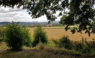 Von der Wiehen-Therme aus können Wanderer weit blicken. - Judith Gladow Von der Wiehen-Therme aus können Wanderer weit blicken. - Judith Gladow