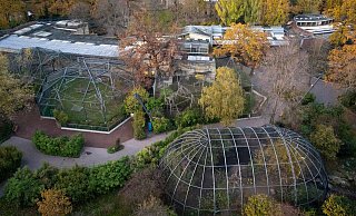 Rund fünf Wochen muss(te) der Berliner Zoo wegen eines Vogelgrippe-Falles schließen; an Heiligabend darf er - unter Auflagen - wieder öffnen. - Monika Skolimowska/dpa Rund fünf Wochen muss(te) der Berliner Zoo wegen eines Vogelgrippe-Falles schließen; an Heiligabend darf er - unter Auflagen - wieder öffnen. - Monika Skolimowska/dpa