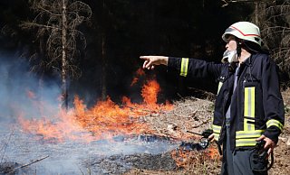 Ein Feuerwehrmann steht vor einem brennenden Waldstück bei Gummersbach und steuert die Löscharbeiten. - dpa Ein Feuerwehrmann steht vor einem brennenden Waldstück bei Gummersbach und steuert die Löscharbeiten. - dpa