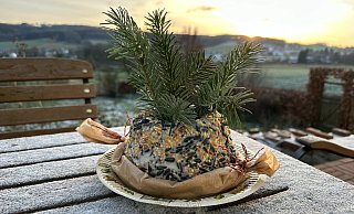 Ein Festschmaus für Spatzen und Finken ist der selbst gemachte Kuchen. Auf einem Gartentisch ist er dekorativ und lädt auch zum Beobachten der Vögel ein. - Ingrun Waschneck Ein Festschmaus für Spatzen und Finken ist der selbst gemachte Kuchen. Auf einem Gartentisch ist er dekorativ und lädt auch zum Beobachten der Vögel ein. - Ingrun Waschneck