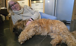 Im Moment ist Nirvana der einzige Briard, der bei Marlies Bonder lebt. Die zehnjährige Hündin genießt ihr Rentnerinnendasein. - Silke Derkum-Homburg Im Moment ist Nirvana der einzige Briard, der bei Marlies Bonder lebt. Die zehnjährige Hündin genießt ihr Rentnerinnendasein. - Silke Derkum-Homburg