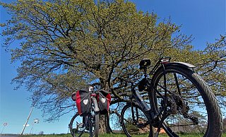 Zwei Löhner haben es nicht bei einer Tagestour mit dem Fahrrad belassen. 18 Monate lang waren sie unterwegs. - Symbolfoto: Sven Hauhart Zwei Löhner haben es nicht bei einer Tagestour mit dem Fahrrad belassen. 18 Monate lang waren sie unterwegs. - Symbolfoto: Sven Hauhart