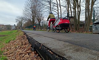 Nicht nur für Rollstuhlfahrer ist die Kante am Elsedamm eine Gefahr. - Sven Hauhart Nicht nur für Rollstuhlfahrer ist die Kante am Elsedamm eine Gefahr. - Sven Hauhart