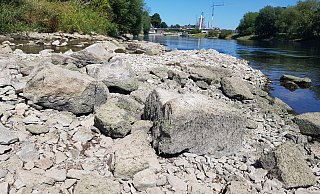 So könnte es bald wieder aussehen: Die Weser im Sommer 2022 an der Mündung des Bollerbaches in Höxter beim Pegelstand von 69 Zentimetern. (Archivbild) - David Schellenberg So könnte es bald wieder aussehen: Die Weser im Sommer 2022 an der Mündung des Bollerbaches in Höxter beim Pegelstand von 69 Zentimetern. (Archivbild) - David Schellenberg
