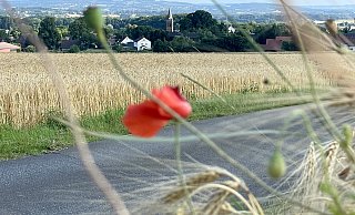 Idyllisch am Wiehen gelegen: Die Gemeinde Hüllhorst, hier ein Blick auf den Ortsteil Schnathorst. - Heike von Schulz Idyllisch am Wiehen gelegen: Die Gemeinde Hüllhorst, hier ein Blick auf den Ortsteil Schnathorst. - Heike von Schulz