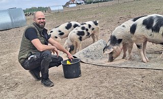 Zweimal am Tag werden die Schweine von Alexander Wellmann (37) gefüttert. - Peter Heidbrink Zweimal am Tag werden die Schweine von Alexander Wellmann (37) gefüttert. - Peter Heidbrink