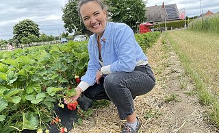 Charlotte Otte zeigt die Reifen Früchte der Erdbeersorte "Rosaria", die gerade an der Südlenger Straße in Bünde wächst und gepflückt werden kann. Um die Früchte möglichst lange anbieten zu können, wechseln die Sorten im Verlauf der Erdbeerzeit. - Natalie Gottwald Charlotte Otte zeigt die Reifen Früchte der Erdbeersorte "Rosaria", die gerade an der Südlenger Straße in Bünde wächst und gepflückt werden kann. Um die Früchte möglichst lange anbieten zu können, wechseln die Sorten im Verlauf der Erdbeerzeit. - Natalie Gottwald