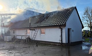 Der Dachstuhl eines 90 Quadratmeter großen Anbaus auf einem landwirtschaftlichen Betrieb stand am Samstagmittag in Flammen. Die Feuerwehr Salzkotten war mit mehreren Einheiten und knapp 80 Kräften in Klein Verne im Einsatz. - Ralph Meyer Der Dachstuhl eines 90 Quadratmeter großen Anbaus auf einem landwirtschaftlichen Betrieb stand am Samstagmittag in Flammen. Die Feuerwehr Salzkotten war mit mehreren Einheiten und knapp 80 Kräften in Klein Verne im Einsatz. - Ralph Meyer