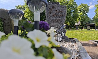 Das Grab des 2003 ermordeten Tino Werner aus Bad Driburg. Er wurde nur 29 Jahre alt. - Svenja Ludwig Das Grab des 2003 ermordeten Tino Werner aus Bad Driburg. Er wurde nur 29 Jahre alt. - Svenja Ludwig