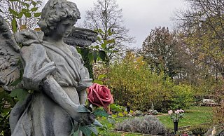 Die Kosten der Grabnutzung steigen in Brakel exorbitant an. - Burkhard Battran Die Kosten der Grabnutzung steigen in Brakel exorbitant an. - Burkhard Battran