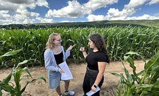 Wo geht es denn nun lang? Jule und Lina sind zwischendurch überfragt, sehen doch alle Maispflanzen und Wege im Dehmer Labyrinth gleich aus. - Nicole Sielermann Wo geht es denn nun lang? Jule und Lina sind zwischendurch überfragt, sehen doch alle Maispflanzen und Wege im Dehmer Labyrinth gleich aus. - Nicole Sielermann