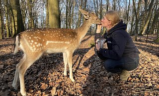 Den Junghirschen Linus und seine Adotivmutter Nicole Gröger verbindet eine innige Liebe. Klar, dass es da auch mal ein Küsschen gibt. - Elke Niedringhaus-Haasper Den Junghirschen Linus und seine Adotivmutter Nicole Gröger verbindet eine innige Liebe. Klar, dass es da auch mal ein Küsschen gibt. - Elke Niedringhaus-Haasper