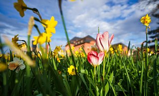Pünktlich zum Wochenende kommt die Sonne im Norden von OWL zurück. - Andreas Arnold/dpa Pünktlich zum Wochenende kommt die Sonne im Norden von OWL zurück. - Andreas Arnold/dpa