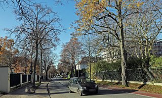 Für die Vlothoer Straße wird ein Radweg geplant, der nicht gebaut wird, wenn der Fahrradstraßen-Versuch ein Erfolg wird. - Frank-Michael Kiel-Steinkamp Für die Vlothoer Straße wird ein Radweg geplant, der nicht gebaut wird, wenn der Fahrradstraßen-Versuch ein Erfolg wird. - Frank-Michael Kiel-Steinkamp