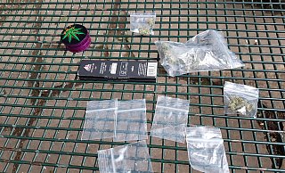 Zufallsfund bei einer Schul-Rucksack-Kontrolle im Botanischen Garten. Der Berufsschüler hatte Tütchen, Zigarettenpapier, Kräutermühle und ein paar Gramm Marihuana dabei. - Monika Jäger/Archiv Zufallsfund bei einer Schul-Rucksack-Kontrolle im Botanischen Garten. Der Berufsschüler hatte Tütchen, Zigarettenpapier, Kräutermühle und ein paar Gramm Marihuana dabei. - Monika Jäger/Archiv
