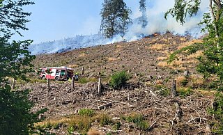 Altena: Die Feuerwehr bekämpft einen Waldbrand an einem steilen Hang. Erst nach vielen Stunden war der Brand unter Kontrolle. - Feuerwehr Altena/dpa Altena: Die Feuerwehr bekämpft einen Waldbrand an einem steilen Hang. Erst nach vielen Stunden war der Brand unter Kontrolle. - Feuerwehr Altena/dpa