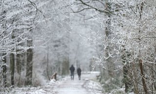 Es schneit, es schneit: In OWL könnte es Mittwoch das erste Mal so weit sein. Lange halten wird sich die weiße Pracht aber nicht. - Marijan Murat/dpa Es schneit, es schneit: In OWL könnte es Mittwoch das erste Mal so weit sein. Lange halten wird sich die weiße Pracht aber nicht. - Marijan Murat/dpa