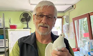 Helmut Tiekötter am 20. Juli, nachdem er die letzten gefangenen Tiere abgeholt hatte. Deutlich zu erkennen, dass die Tiere nicht beringt sind. - Tierschutzverein Bielefeld Helmut Tiekötter am 20. Juli, nachdem er die letzten gefangenen Tiere abgeholt hatte. Deutlich zu erkennen, dass die Tiere nicht beringt sind. - Tierschutzverein Bielefeld