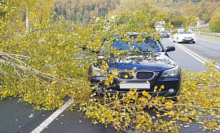 Bei Lichtenau-Grundsteinheim kippte auf der B68 ein Baum auf einen BMW, verletzt wurde aber niemand. - Polizei Paderborn Bei Lichtenau-Grundsteinheim kippte auf der B68 ein Baum auf einen BMW, verletzt wurde aber niemand. - Polizei Paderborn
