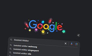 In Bielefeld hat viele Menschen das Schicksal der Elster "Nils" bewegt, das zeigen die Suchanfragen bei Google. - Screenshot Google In Bielefeld hat viele Menschen das Schicksal der Elster "Nils" bewegt, das zeigen die Suchanfragen bei Google. - Screenshot Google