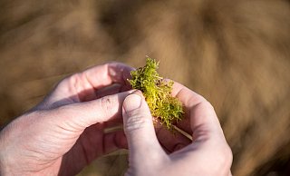 Bauernverbände haben die Sorge, dass Landwirte durch Vorgaben zu sehr eingeschränkt werden könnten. - Sina Schuldt/dpa Bauernverbände haben die Sorge, dass Landwirte durch Vorgaben zu sehr eingeschränkt werden könnten. - Sina Schuldt/dpa