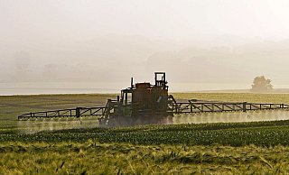 Die Ausbringung von Pflanzenschutzmitteln steht immer mehr in der Kritik, weil viele Insekten darunter leiden. Landwirte hingegen fürchen durch Schädlinge um ihre Ernte und die Lebensmittelversorgung. - Erich Westendarp/Pixabay Die Ausbringung von Pflanzenschutzmitteln steht immer mehr in der Kritik, weil viele Insekten darunter leiden. Landwirte hingegen fürchen durch Schädlinge um ihre Ernte und die Lebensmittelversorgung. - Erich Westendarp/Pixabay