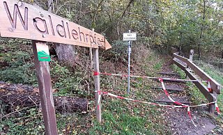 Der Waldlehrpfad ist Teil des Paderborner Höhenweges. Auf einer Strecke von 50 Metern soll der Weg deutlich verbreitert werden. - Mareike Gröneweg Der Waldlehrpfad ist Teil des Paderborner Höhenweges. Auf einer Strecke von 50 Metern soll der Weg deutlich verbreitert werden. - Mareike Gröneweg